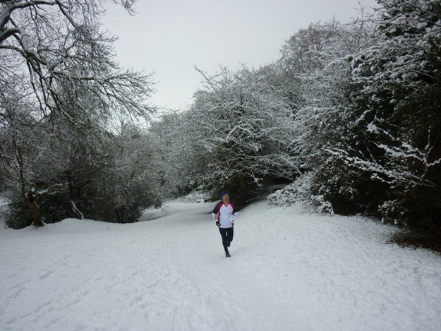 Orienteering on the Westwood 2