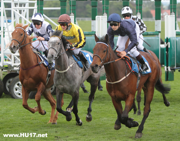 beverley-racecourse