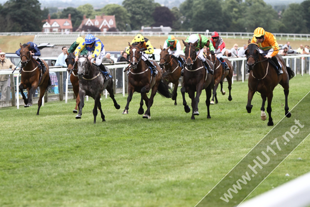 Beverley Racecourse 001