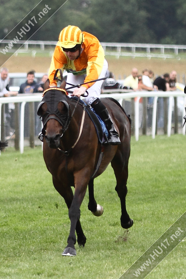 Beverley Racecourse 003