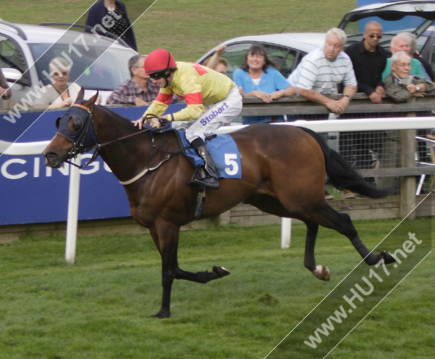 Beverley Races Tangerine Trees