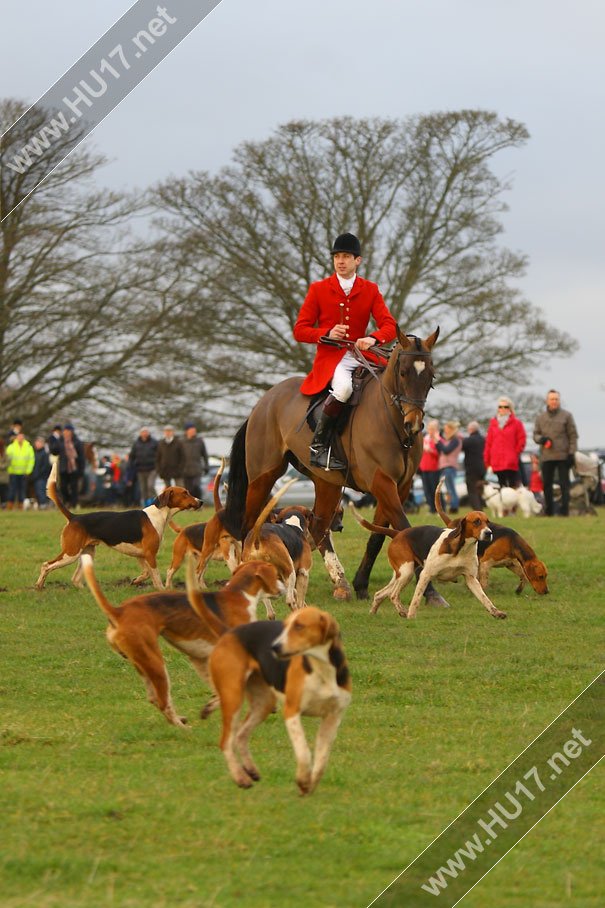 Boxing Day Hunt, Beverley Westwood