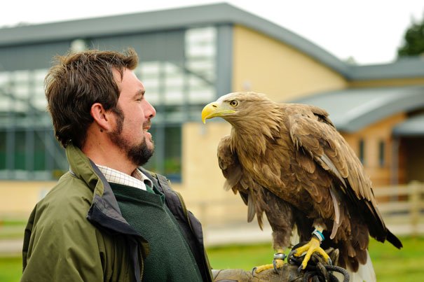 Town & Country Day At Bishop Burton College