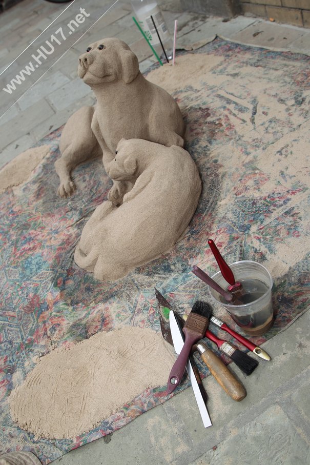 Sandtastic : Dogs Sculpted From Sand Get A Lot Of Attention From Shoppers