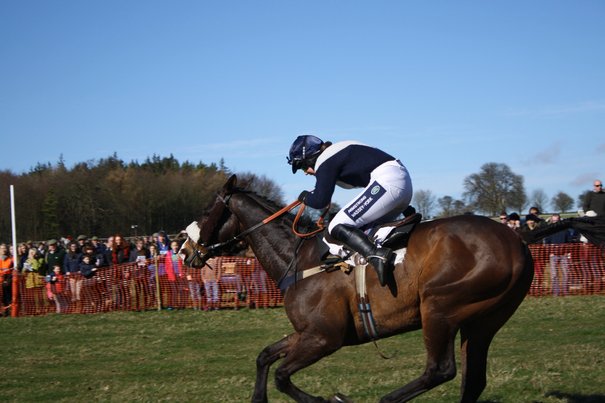 YOUR PICTURES: Point-to-Point @ South Dalton