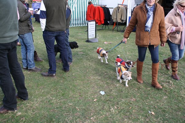 YOUR PICTURES: Point-to-Point @ South Dalton