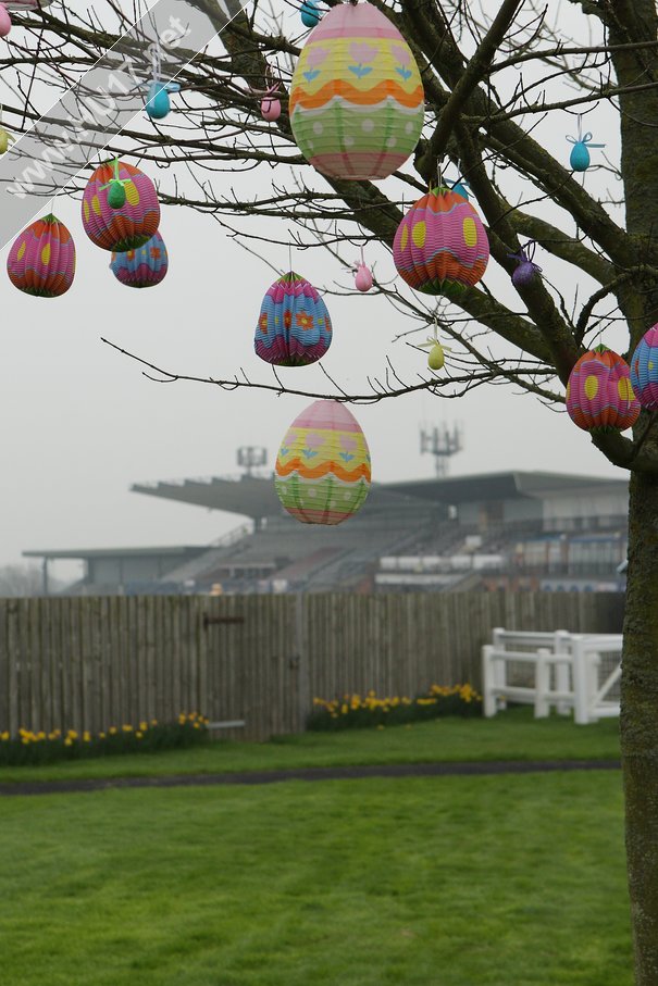 World’s First Ever Easter Egg Tree Discovered In Beverley