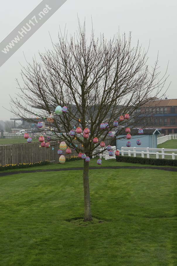 World’s First Ever Easter Egg Tree Discovered In Beverley