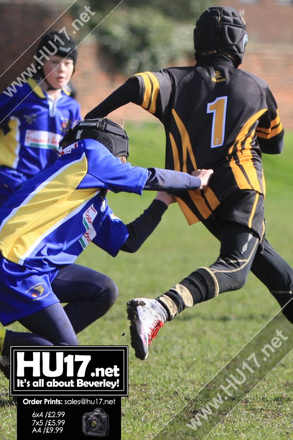 Cottingham Tigers Beat Beverley Braves In Close Contest