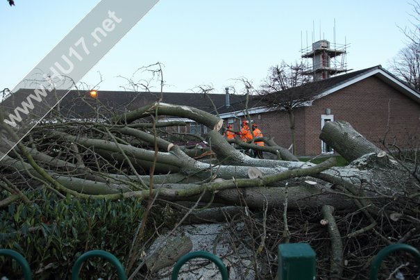 Tree Down Beverley 008