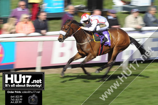 BEVERLEY RACES : Singeur Ready To Rock Beverley