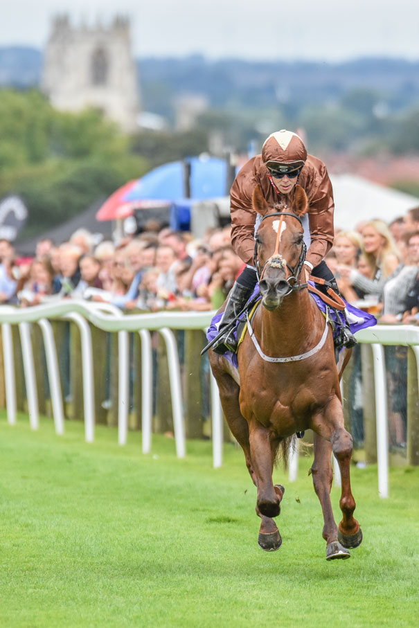 BEVERLEY RACES : Ben Curtis Joy At Beverley Top Jockey Award