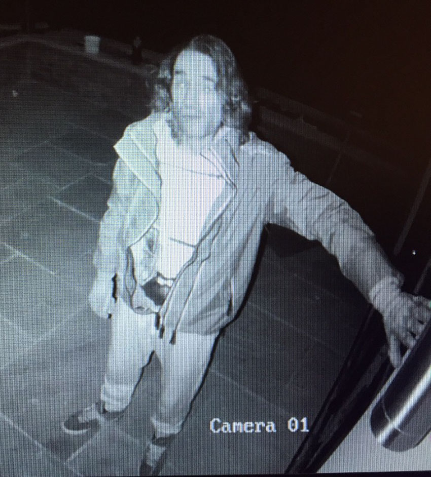 Lead Flashing Theft On Copendale Road - Do You Know Him?