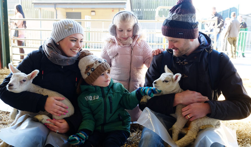 Bishop Burton College Poised For Biggest Ever Lambing Sunday