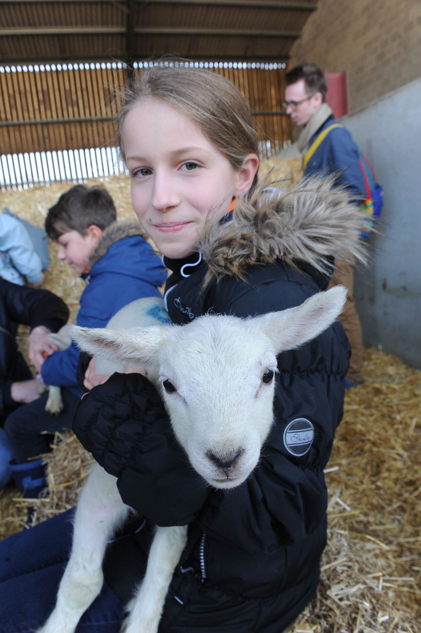 Spring Arrives At Bishop Burton As Thousands Of Visitors Flock To Lambing Spectacular