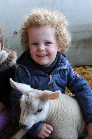 Spring Arrives At Bishop Burton As Thousands Of Visitors Flock To Lambing Spectacular