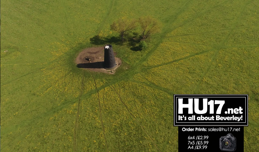 DRONE PHOTOS : Beverley Westwood With Butter Cups