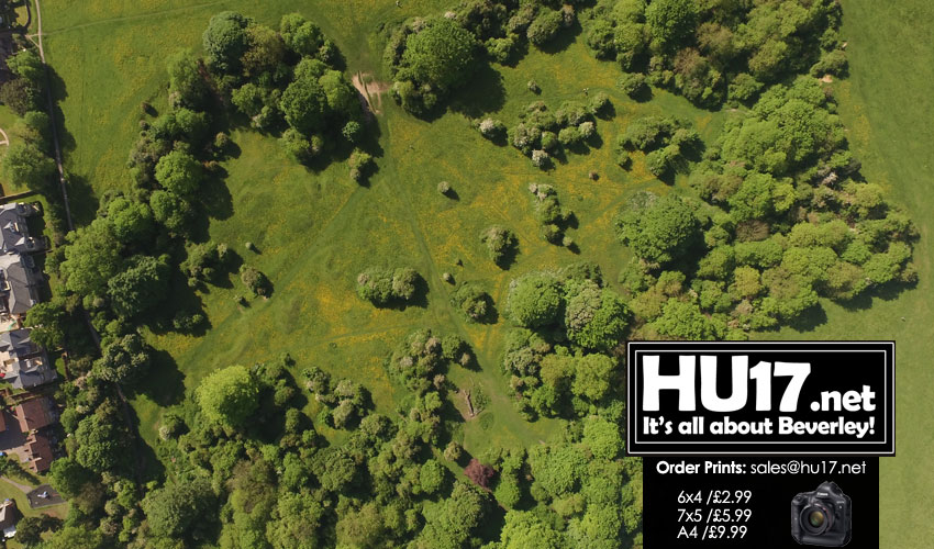 DRONE PHOTOS : Beverley Westwood With Butter Cups