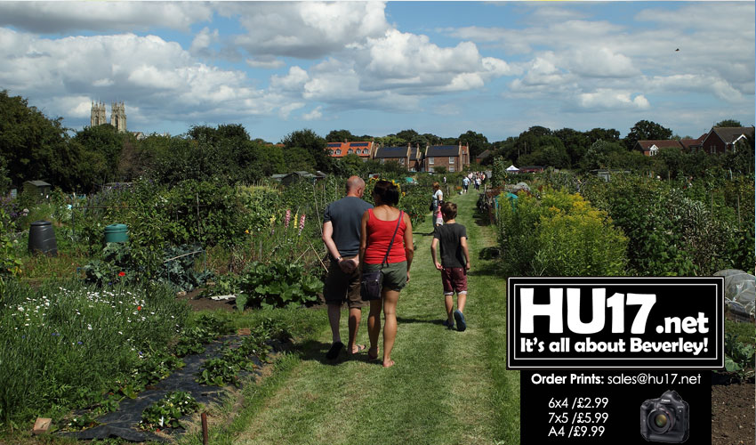 Learn More About Allotments At National Gardens Scheme Open Day