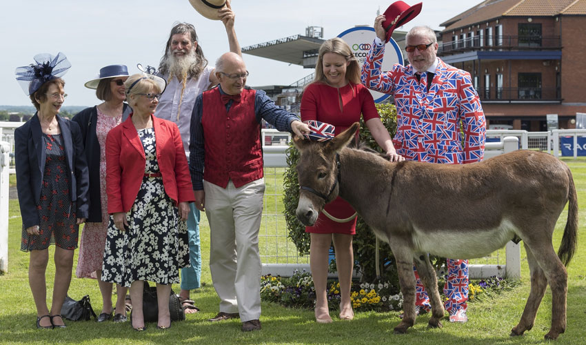 Donkey Derby Returns For A Very British Raceday At Beverley Racecourse