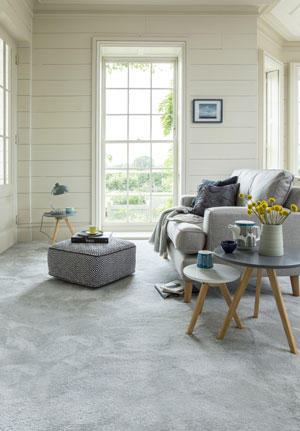 HOME INTERIORS : Does Your Carpet Cut The Mustard For 2018?