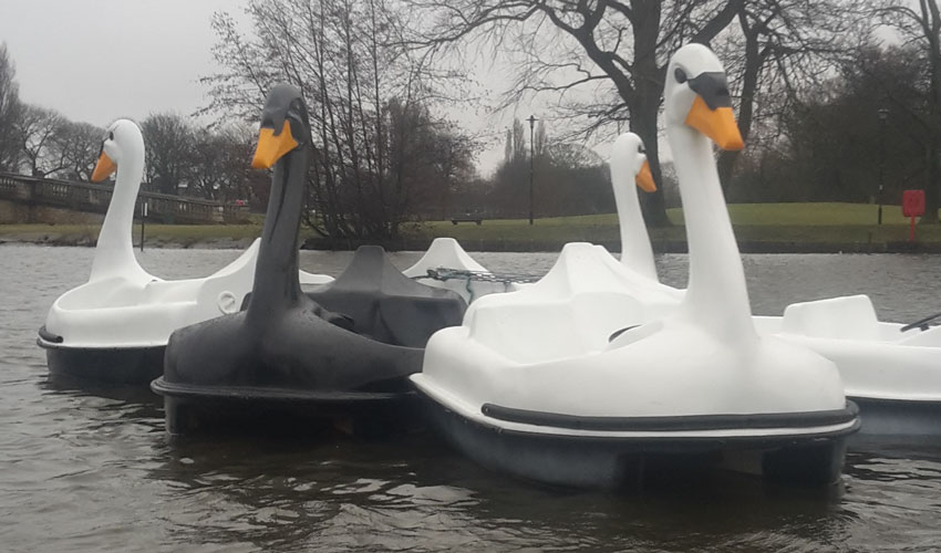 Swan Lake - All Aboard Exciting New Additions To East Park 