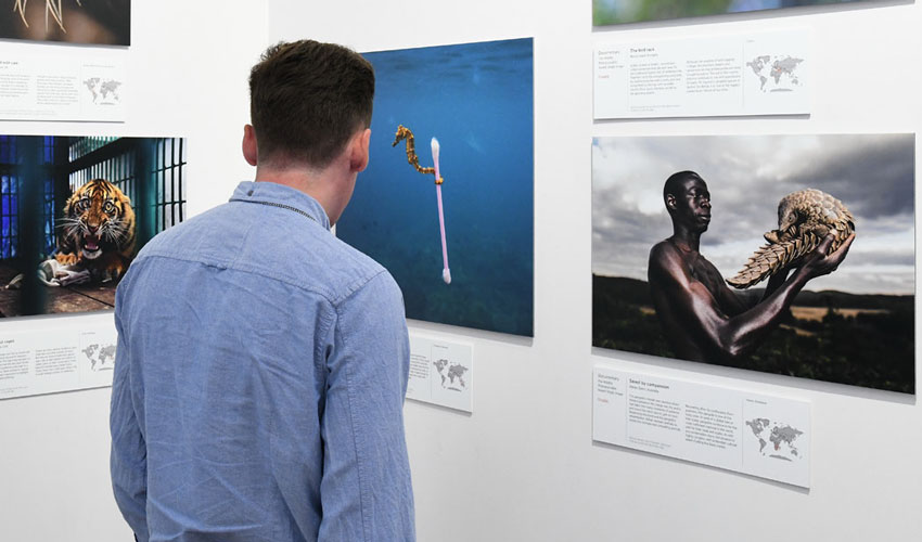 Time Running Out To See Wildlife Photographer Of The Year Exhibition 