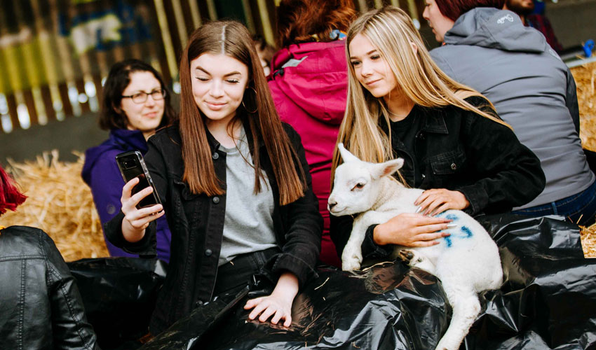 Thousands Flock To Bishop Burton College For Lambing Sunday