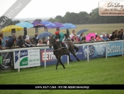 beverley-races-003