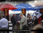 beverley-races-011