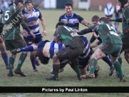 Beverley RUFC