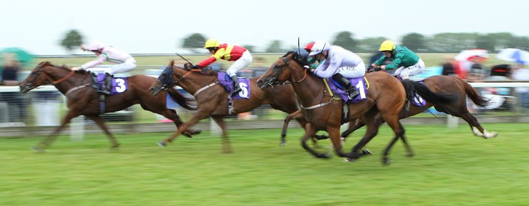 BEVERLEY RACES: Road On Track For Needler