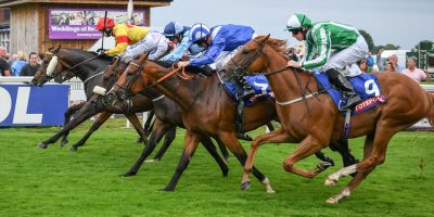 Alpha Delphini Back On Beverley Bullet Trail