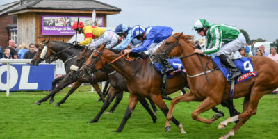 BEVERLEY RACES : Alpha Back In Beverley Bullet Firing Line