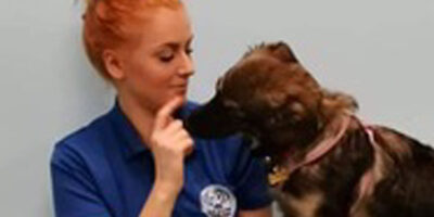 Fit4DogsUK Employee Shortlisted For People in Business Award