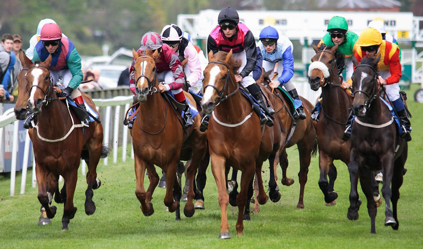 What You Should Know Before Setting Off To The Races