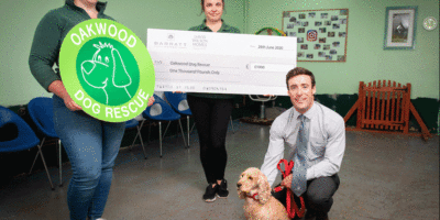 Local Housebuilder Donates £1,000 To Oakwood Dog Rescue, In Hull