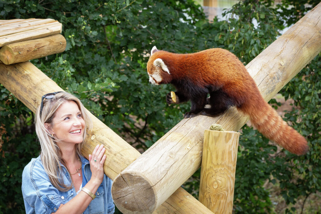 Helen Skelton Is Enchanted By Yorkshire Wildlife Park’s New Red Pandas