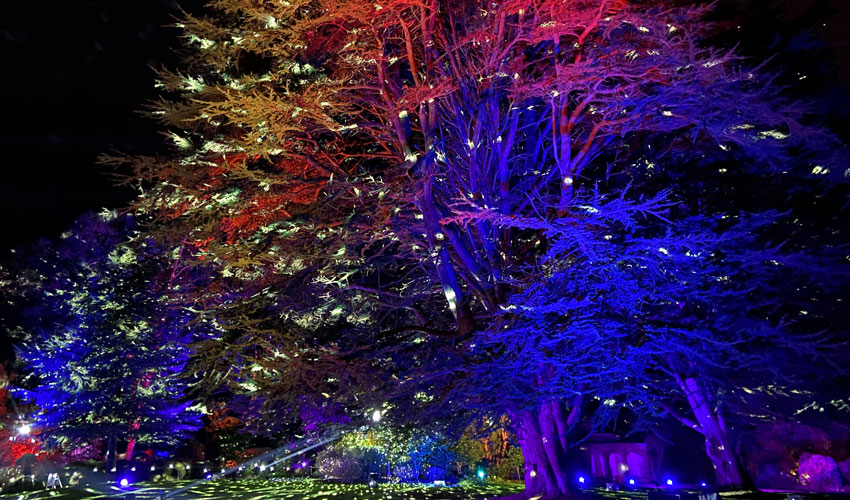 A Chance To Experience The Enchanted Winter Woodland At Sewerby Hall