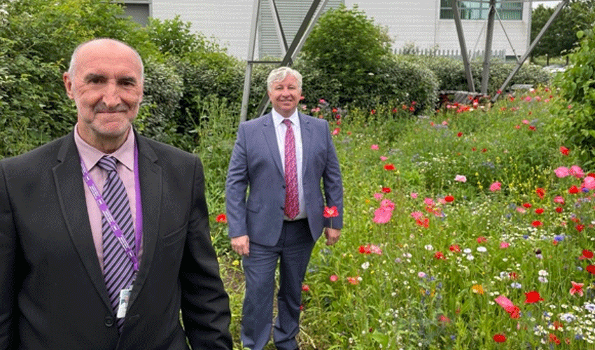 Attracting Wildlife Pollinators To Kingswood Offices