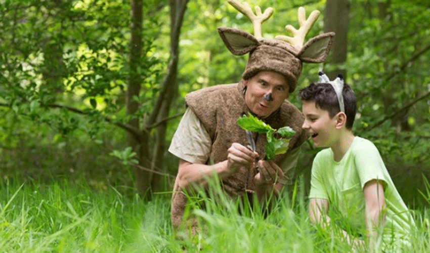 Meet The Characters In Rusticus Woodland Creatures Theatre