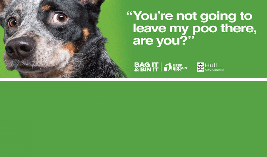 ‘Do It For Your Dog’ Campaign Launched To Reduce Instances Of Dog Fouling