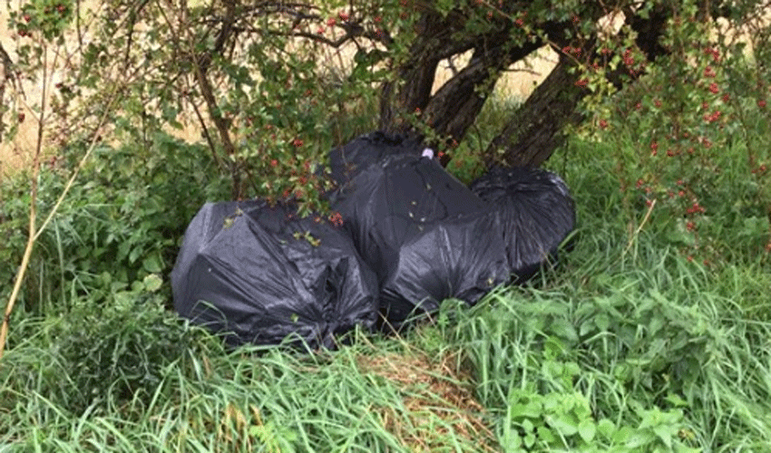 Woman From Hull Fined After Rubbish Dumped In Tickton