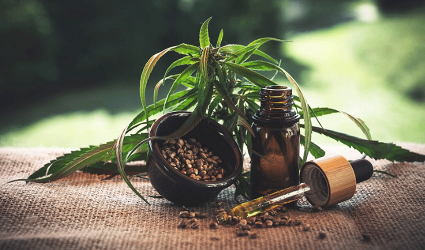 How To Start: The CBD Guide For Beginners