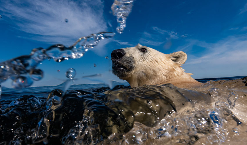 Stunning Images Unveiled As Wildlife Photographer Heads This Way In May