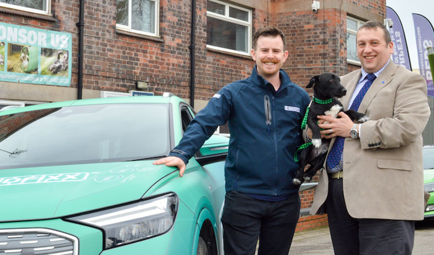 Hull Company Calls On City’s Businesses To Support Animals In Need