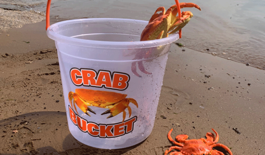 Bridlington Will Host A New Crab Chase Event In September