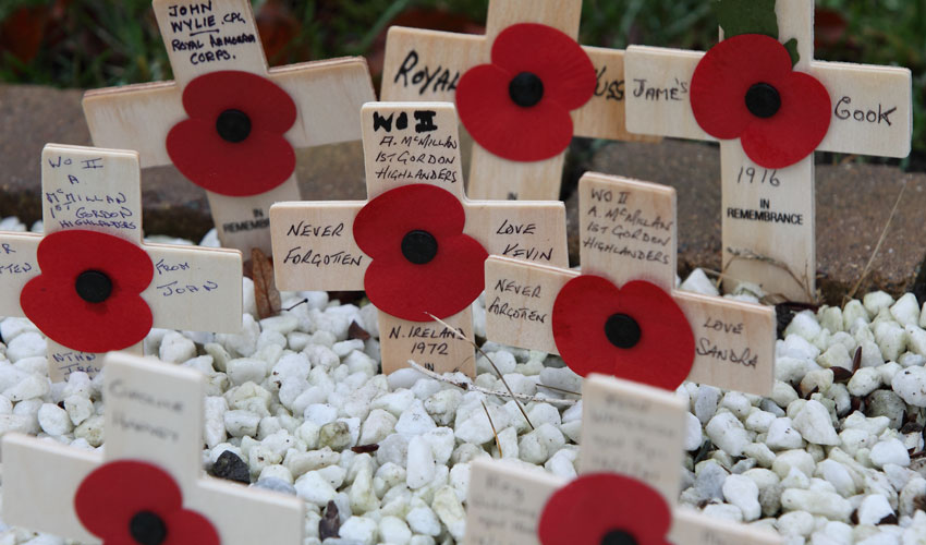 Hull Set To Pause and Reflect On Remembrance Sunday 2022