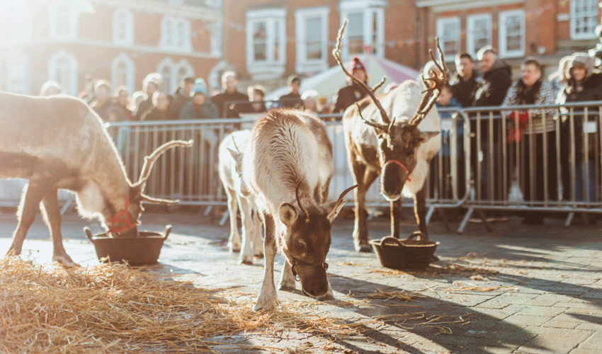 Beverley Will Host Five Days Of Christmas Markets