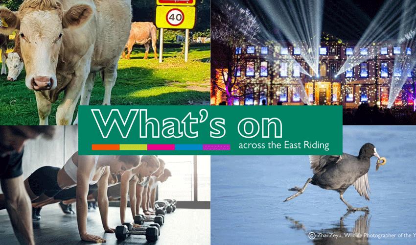 Your Summer Starts Now: What's On Across The East Riding